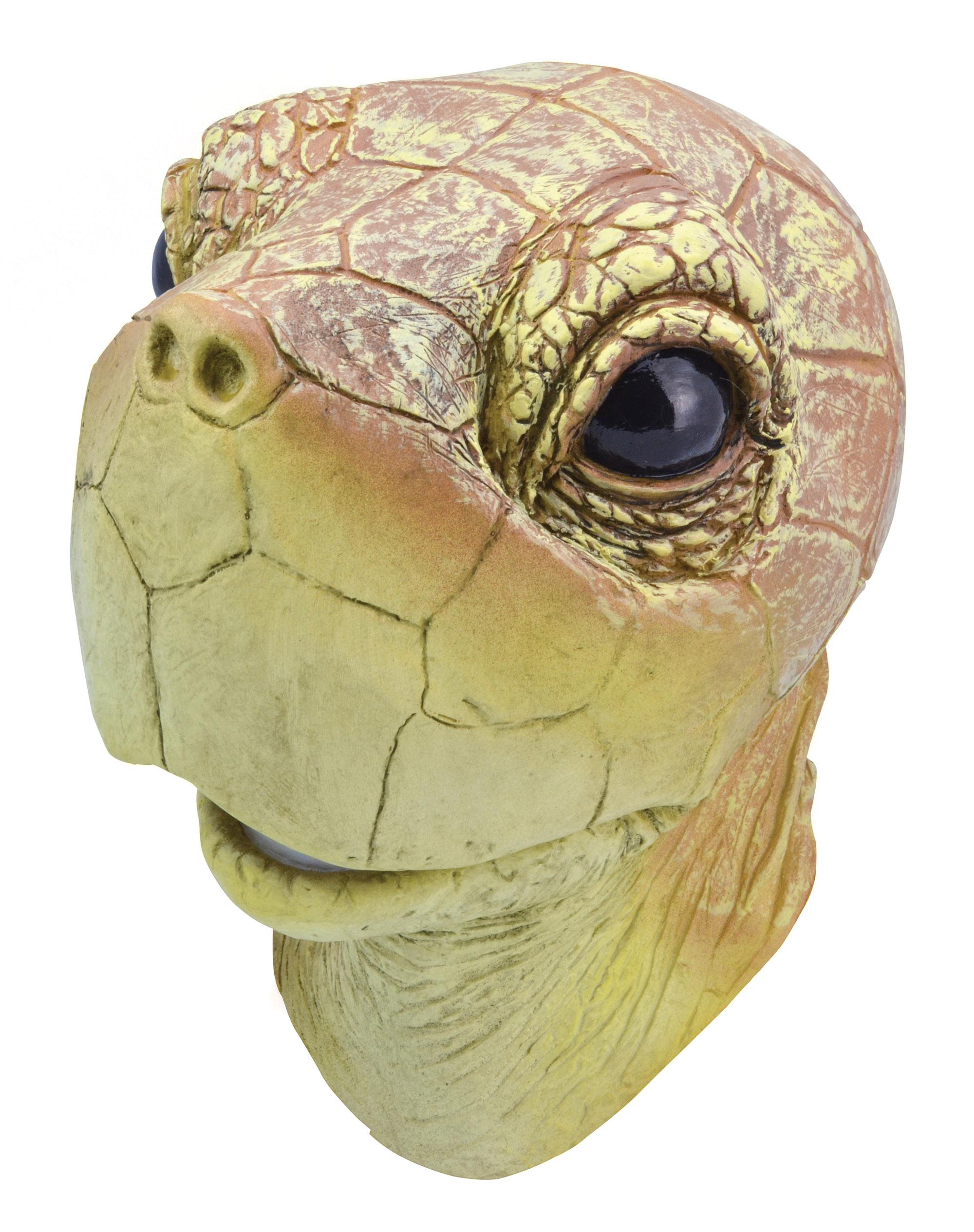 Turtle Mask