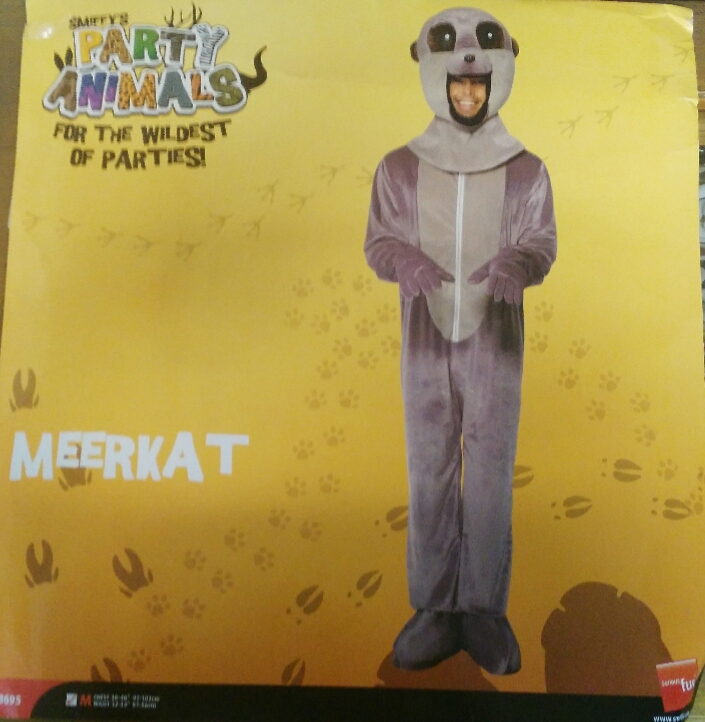Meerkat